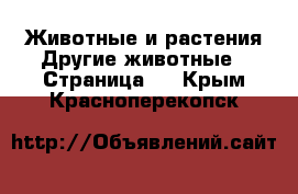 Животные и растения Другие животные - Страница 3 . Крым,Красноперекопск